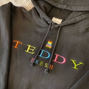 Teddy Fresh Embroidered Hoodie